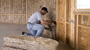 Eco-Friendly or Green Insulation Solutions in Lake Ripley, WI