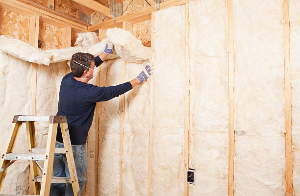 Best Attic Insulation Installation  in Lake Ripley, WI